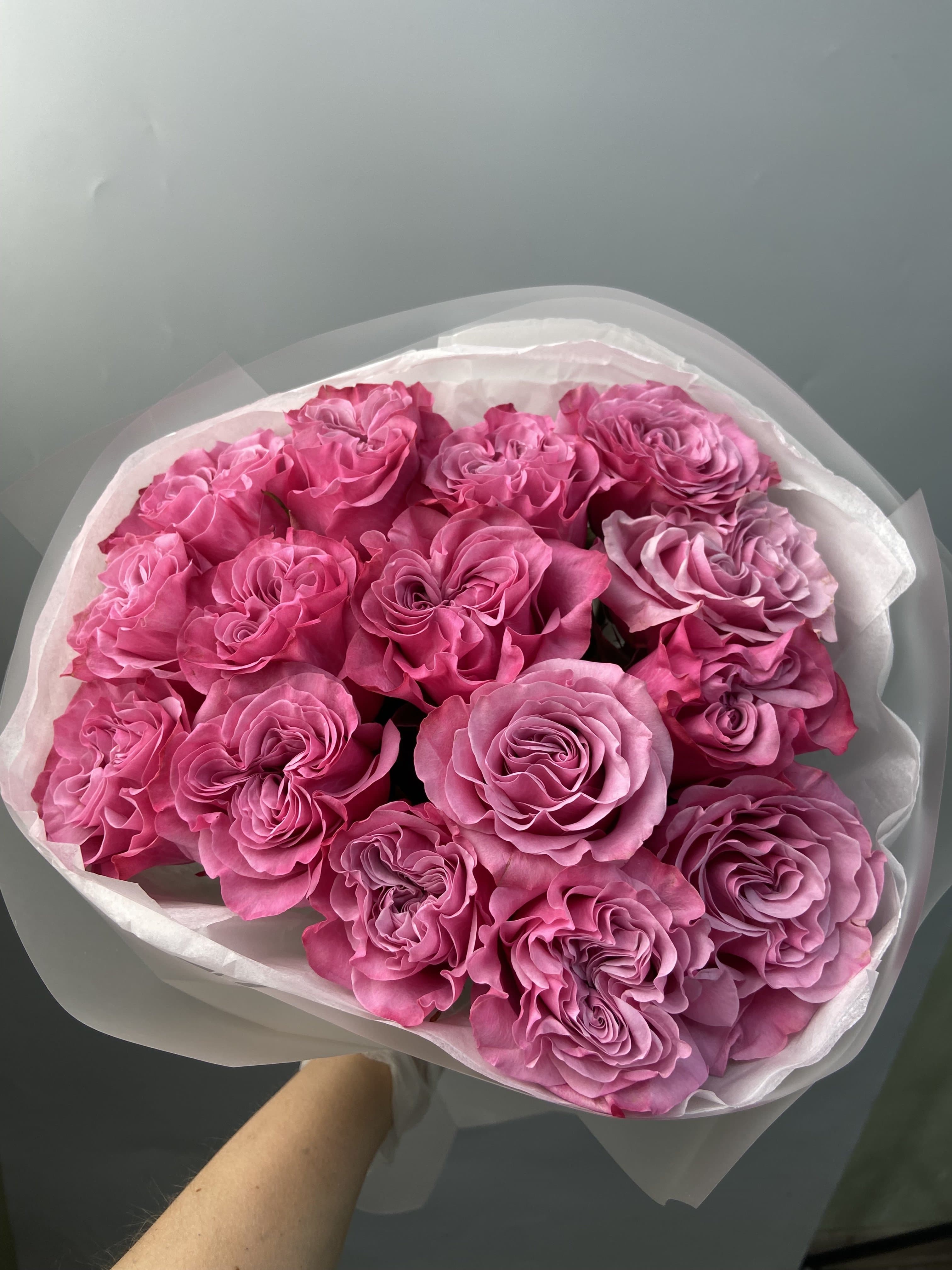 Country blues 15 шт