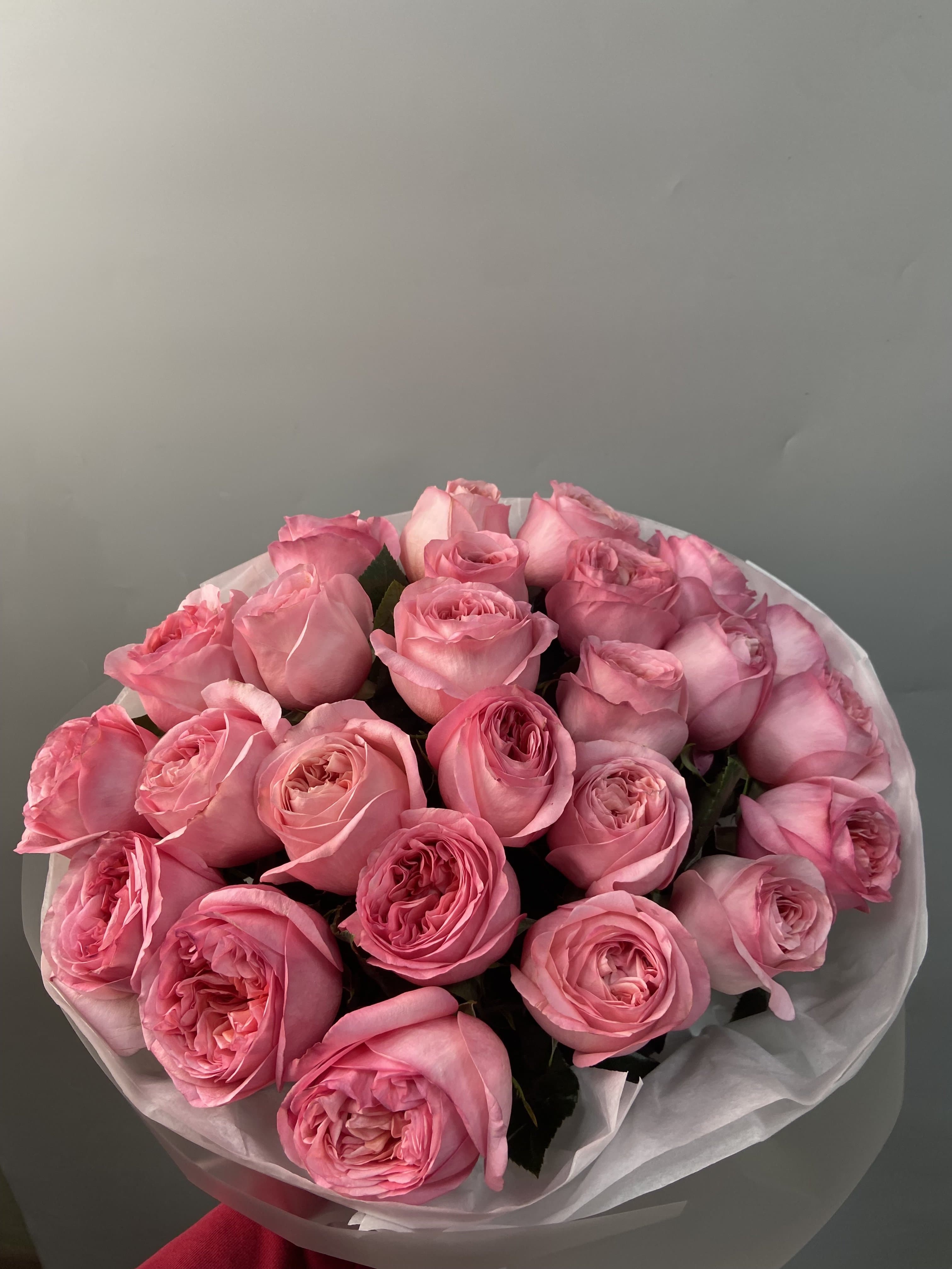 Розы (Pink expression) в букете 25 штук 