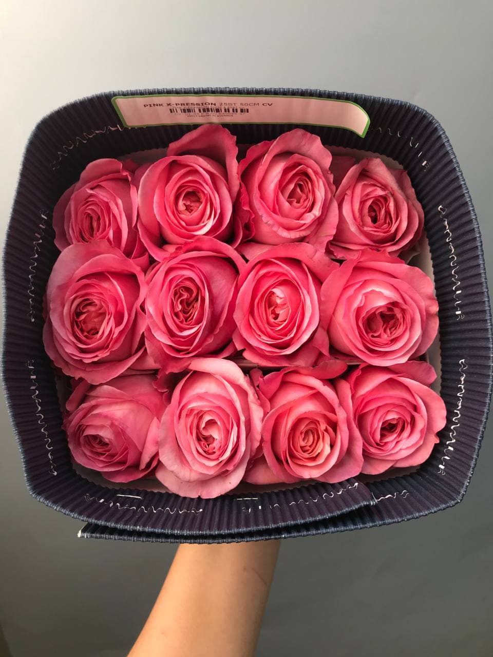 Pink expression в пачке 25 шт